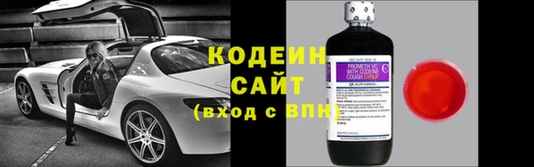 сатива Арсеньев