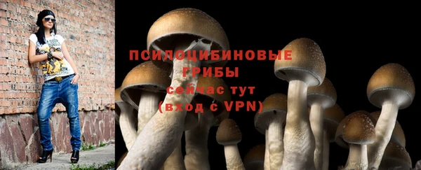 сатива Арсеньев